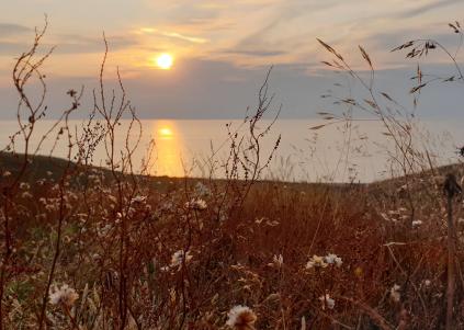 yoga SUP samsø windsurfing mindfulness meditation aktiv ferie familie kajak