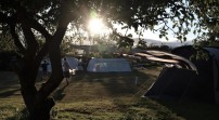 klitgaard camping windsurfing ferie kursus yoga SUP samsø aktiv ferie familie 